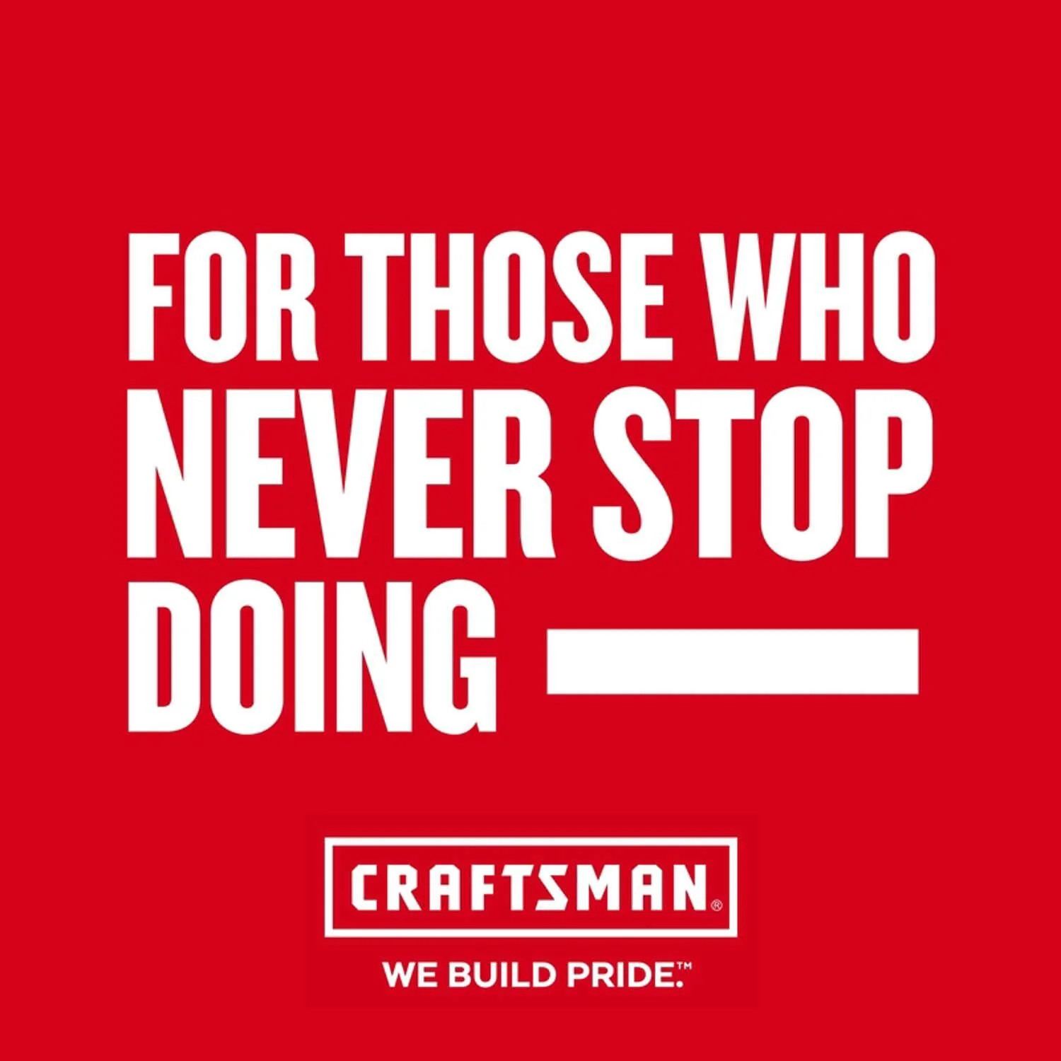 CRAFTSMAN VERSASTACK™ 17 in Tool Tote – CMST17621